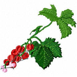 Cherry Embroidery Design 2 Cherry Embroidery Design 2